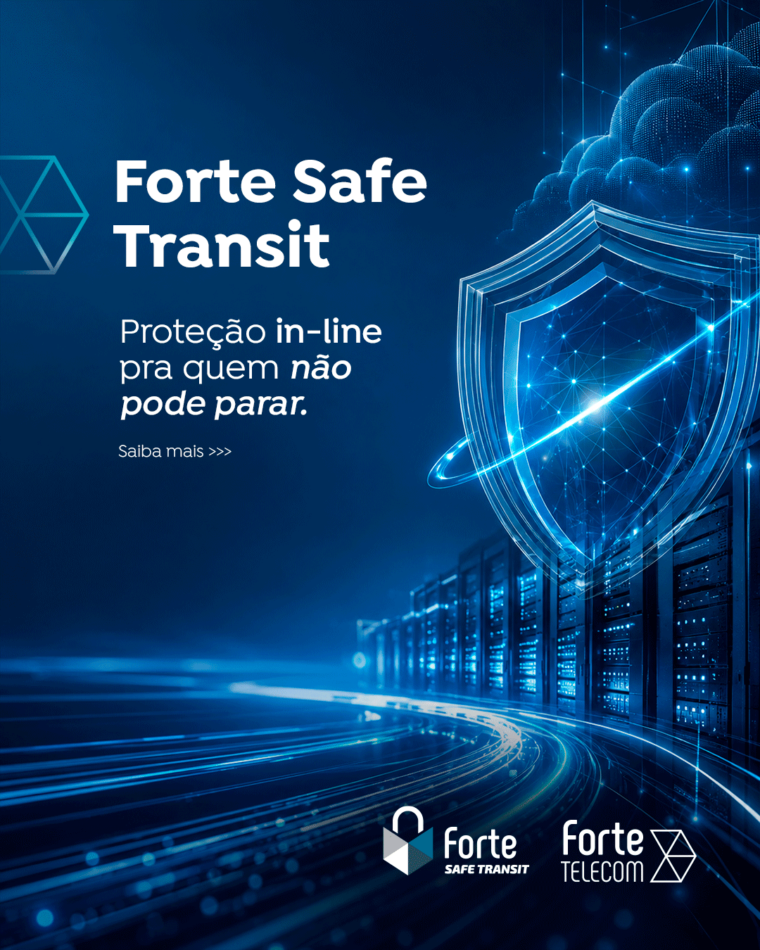 Safe Transit - Proteção DDoS em tempo real