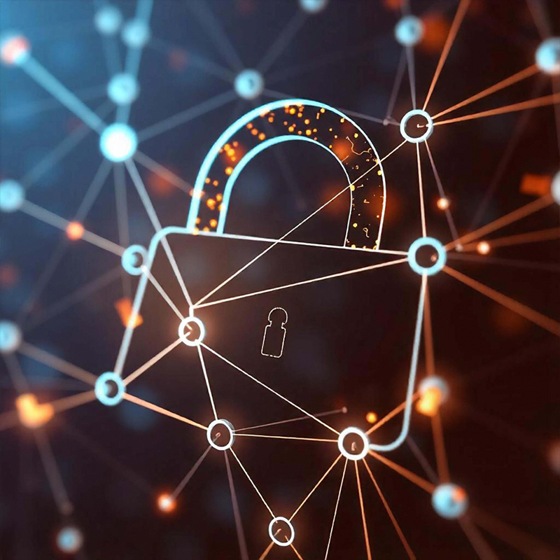 Rede Privada - Segurança e exclusividade na comunicação de dados